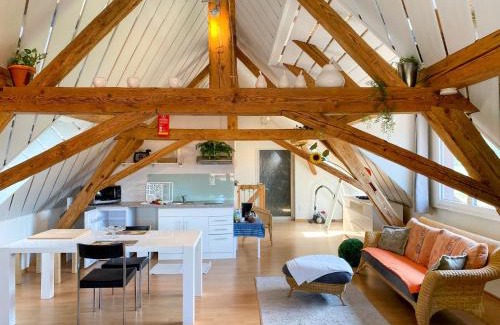 Wangenried Apartment | Studio Arn's Dachstudio by Interhome