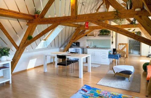 Wangenried Apartment | Studio Arn's Dachstudio by Interhome
