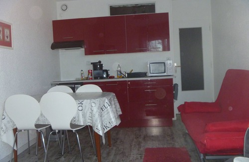 Les Adrets Apartment | STUDIO cabin 33m2 at the foot of the slopes and shops