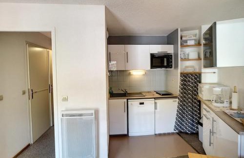 Les Bruyeres Apartment | Studio cabine 4 pers, ski aux pieds, Les Menuires - FR-1-178-150