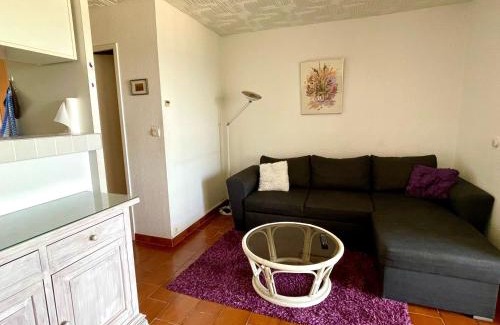 La Cote Radieuse Apartment | Studio cabine avec parking, Canet-en-Roussillon - FR-1-748-2