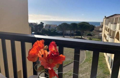 Saint-Pierre-la-Mer Apartment | Studio Cabine Vue Mer - 4 Pers, Balcon, Animaux Bienvenus - FR-1-229D-15