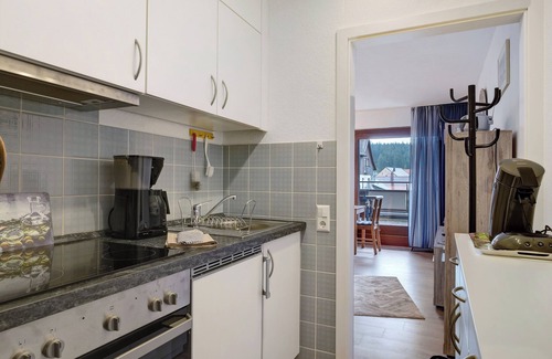 Schoenwald Apartment | Studio Apartment 'Schwarzwaldliebe' with Mountain View, Balcony and Wi-Fi
