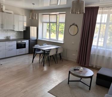 Kedainiai Apartment | Studio flat Centrinis Butukas