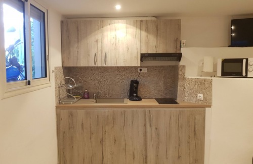 Petite-ÃŽle Apartment | Studio for rent in the wild south in SAINT JOSEPH