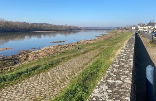 Gennes-Val-de-Loire Apartment | Studio / Gîte sur les Bords de Loire en Centre Ville