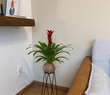 Caicaras House | Studio-House with Tropical Garden