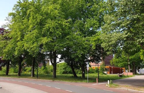 Municipality of Apeldoorn Apartment | Studio in Stijl