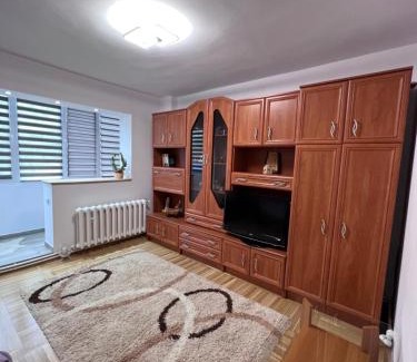 Nehoiu Apartment | Studio in the city center