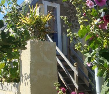 Surtainville Bed & Breakfast | Studio "LA MEDINA", PISCINE jusqu'au 15 septembre, JARDIN BOTANIQUE, COMMERCES &MER