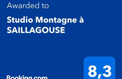 Saillagouse Apartment | Studio Montagne Cerdagne à SAILLAGOUSE