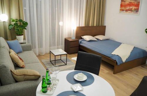 Wilanow Apartment | Studio Nr 4 close to Medicover and Paley Institute