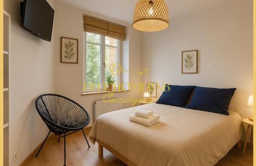Rives de Meurthe Apartment | Studio Proche Centre - Lit Queen, Café Offert !