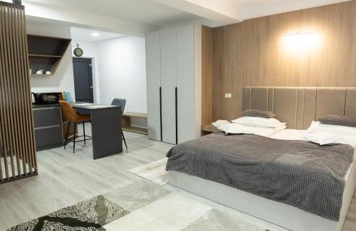 Frasin Apartment | Studio with Parking in Frasin