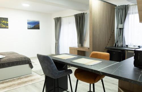 Frasin Apartment | Studio with Parking in Frasin