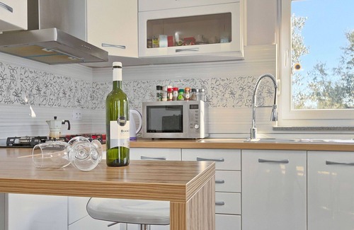 Orbanici House | Stunning private villa with A/C, WIFI, private pool, TV, terrace, pets allowed and parking