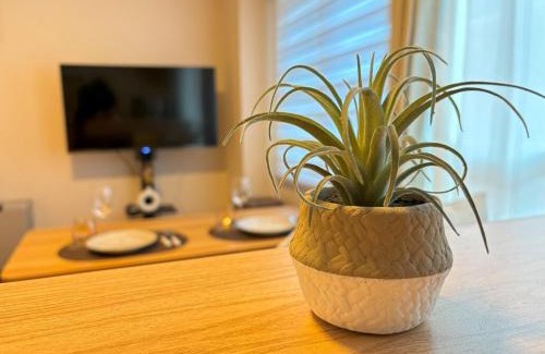 Susukino Apartment | Stuts, a popular Susukino area 1-minute walk from tram stop Max 4 people