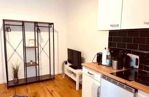 Ortsbezirk Ludwigshafen-Oppau Apartment | Stylisches 1 Zimmer Apartment