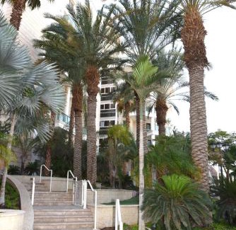 Eilat Apartment | Stylish 3BR Golf Residence Eilat