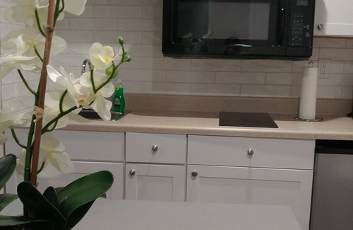 Frankford Apartment | Stylish Newly renovated * Private Aptarment* 1BR