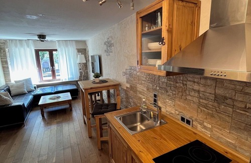 Heidelberg City Centre Apartment | Stylish suite OldTown Heidelberg free parking air condition