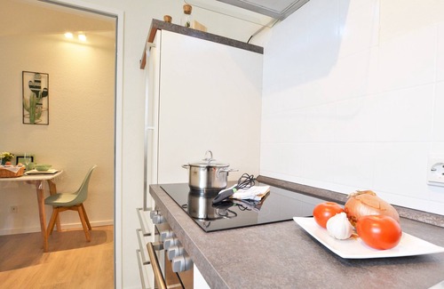 Bad Kreuznach Apartment | Stylishly renovated 1-room apartment - balcony, WLAN, TV, spa area