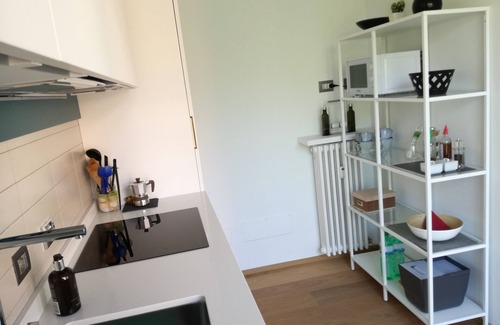 Arona Apartment | Suite 51 Lake Maggiore Apartment with terrace 50 meters from the lake