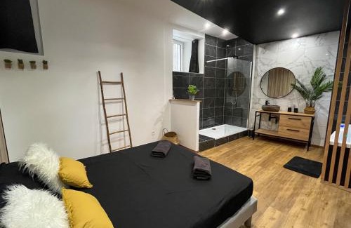 Beziers City Centre Apartment | Suite cocooning & spa