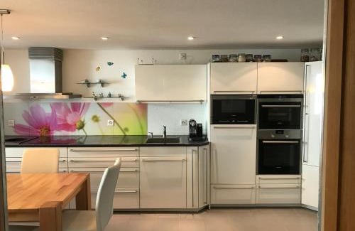 Schupfheim Apartment | Suite mit schöne Küche in Zentral schüpfheim LU