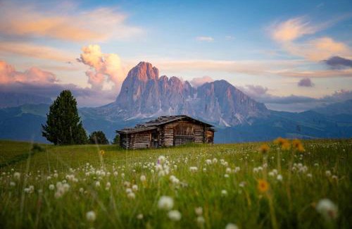 Ortisei House | Sule Hof Agriturismo