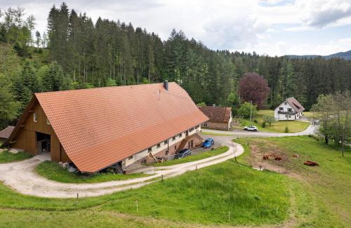 Wolfach - Saint Roman Apartment | Sulzerhof