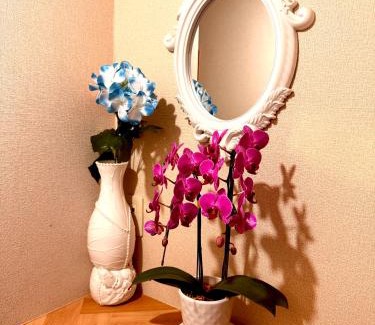 Fussa House | SUN PALACE Fussa 阳光家园