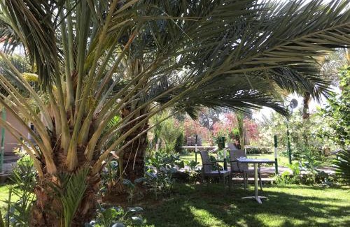 Aarab Sebbah Ziz Cabin | Sun Palmeraie - Book your Room