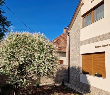 Gyula Apartment | Sunlight apartman