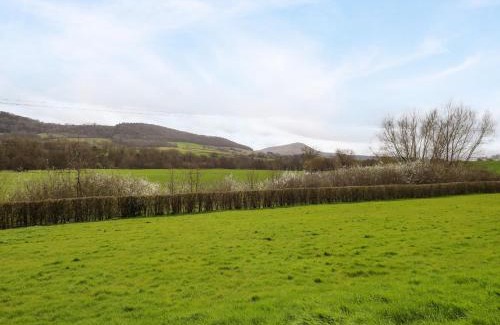 Llanfihangel Tal-y-llyn House | Sunny Cottage