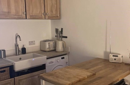 Streatham Apartment | Sunny south facing, cute garden studio with own private patio, South London