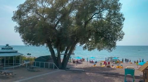 Balm Beach Hotel | SunPort Beach Resort