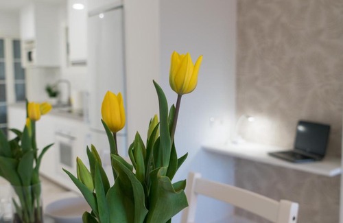 Sant Adria de Besos Apartment | Sunrise Apartment