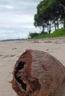 Neil Island Resort | SUNSET GARDEN Beach Resort
