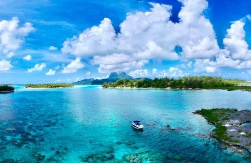 Vaitape Apartment | Sunset Hill Lodge