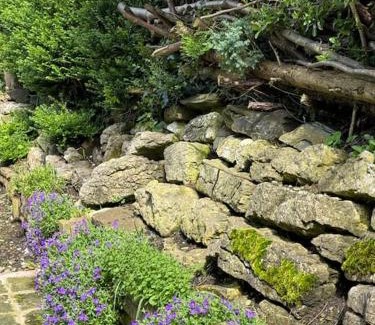 Horwich House | Sunshine cottage