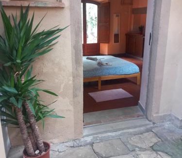 Florence House | Sunshine Suites
