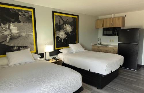 Alexandria Hotel | Super 8 by Wyndham Alexandria LA