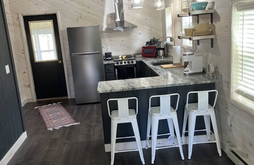 Mio Cabin | Super clean cabin near ORV trails & AuSable River, walking distance to town Mio.