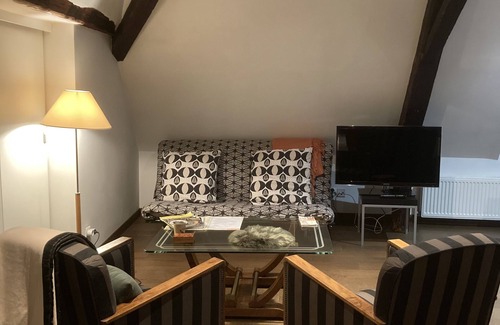 Saint Nicolas - Charles III - Ville vieille - Trois Maisons - Leopold Apartment | Superb apartment 3 bedrooms kitchen bathroom full of Nancy city center