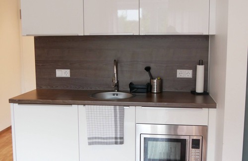 Harsewinkel Apartment | Superior-Apartment-kitchenette