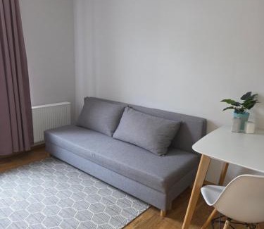Kesklinn Apartment | Suur-Ameerika Apartment