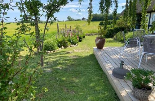 Tranekaer Bed & Breakfast | Svalebølle Bed & Breakfast