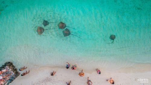 Kamadhoo Hotel | Swarn by Hawks