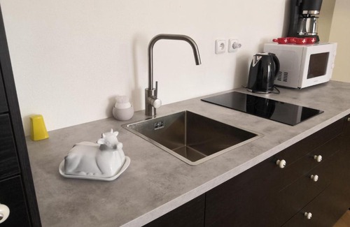 Slavonice Apartment | Swiss House Apartments